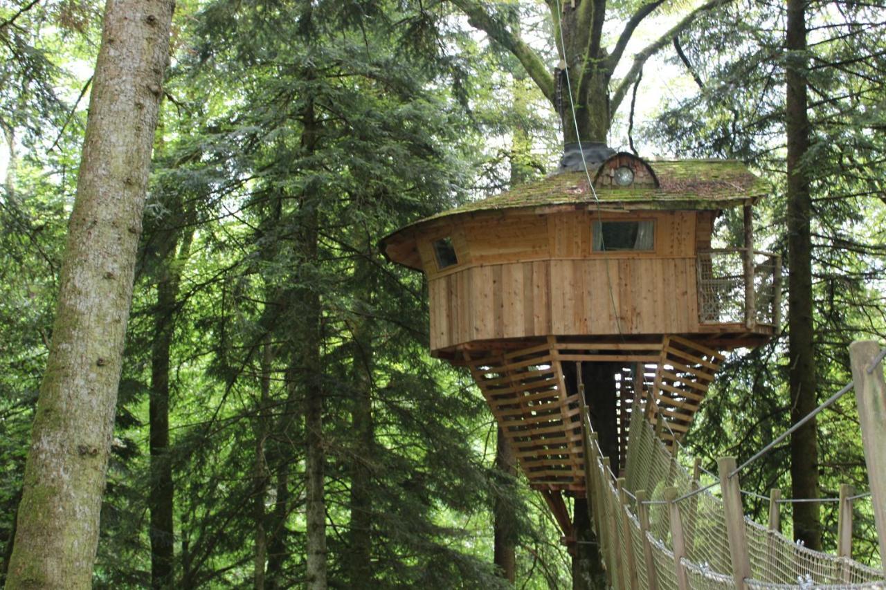 Domaine De Syam - Gites, Chambres D'Hotes & Cabanes Bagian luar foto